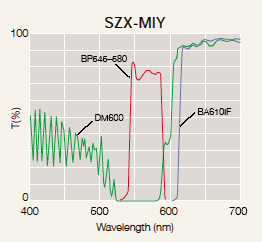 奥林巴斯SZX7研究级体视显微镜